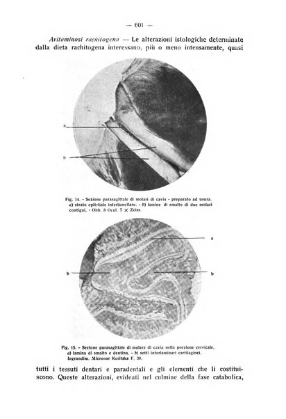 La stomatologia periodico mensile