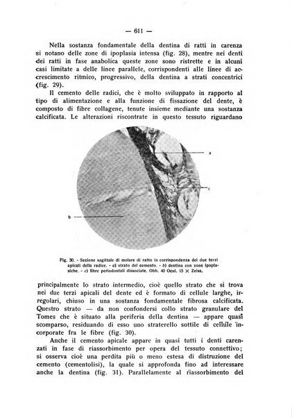 La stomatologia periodico mensile