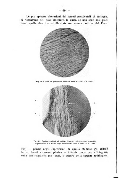 La stomatologia periodico mensile