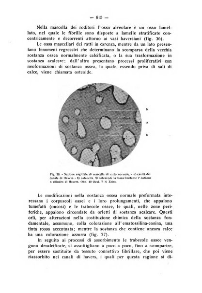 La stomatologia periodico mensile