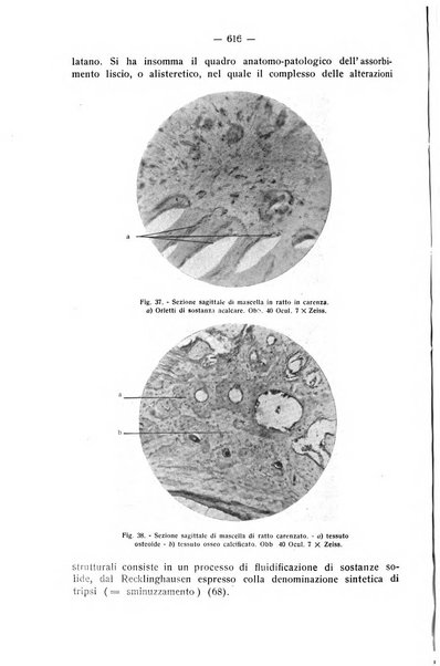 La stomatologia periodico mensile