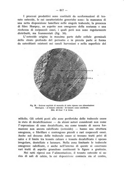 La stomatologia periodico mensile