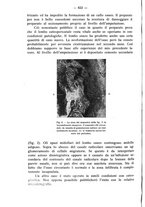 giornale/TO00195913/1933/unico/00000704