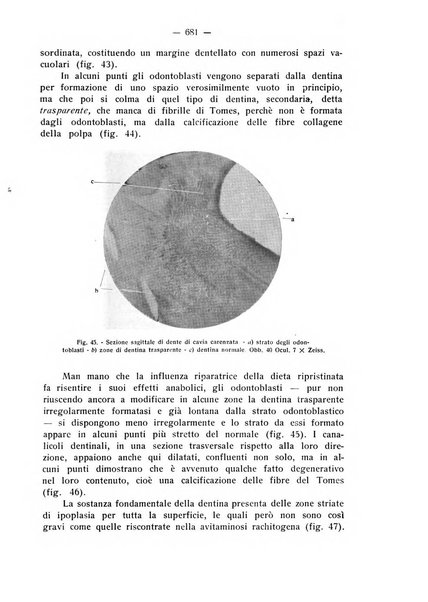 La stomatologia periodico mensile