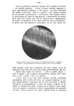 giornale/TO00195913/1933/unico/00000794