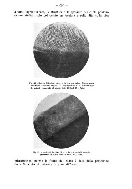 La stomatologia periodico mensile