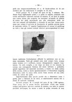 giornale/TO00195913/1933/unico/00000904
