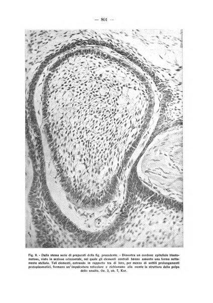 La stomatologia periodico mensile