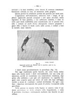 giornale/TO00195913/1933/unico/00000978