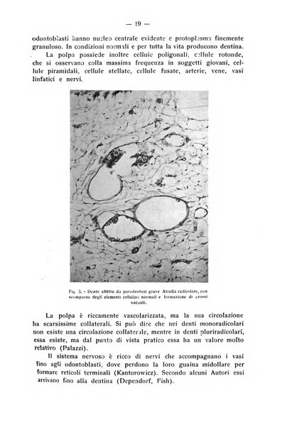 La stomatologia periodico mensile