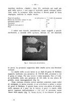 giornale/TO00195913/1934/unico/00000207