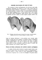 giornale/TO00195913/1934/unico/00000218