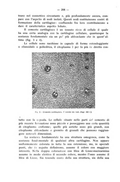 La stomatologia periodico mensile