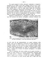 giornale/TO00195913/1934/unico/00000228