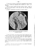 giornale/TO00195913/1934/unico/00000636