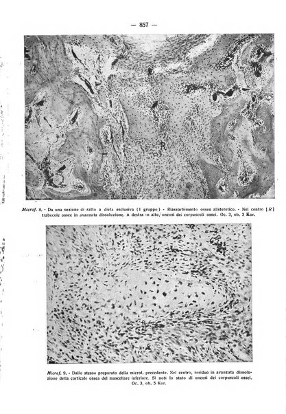 La stomatologia periodico mensile