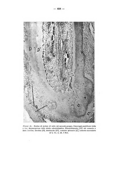 La stomatologia periodico mensile