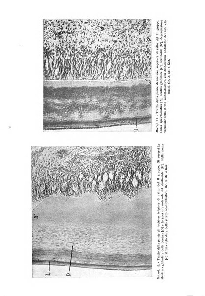 La stomatologia periodico mensile