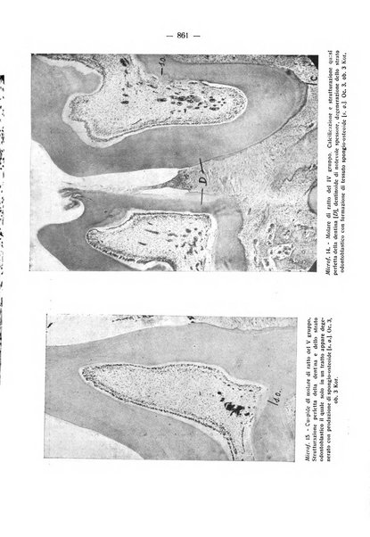 La stomatologia periodico mensile