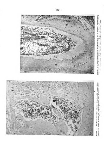 La stomatologia periodico mensile