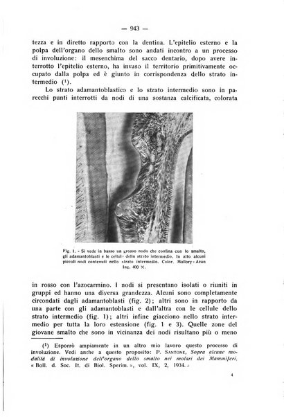 La stomatologia periodico mensile