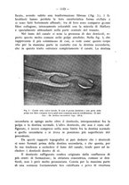 giornale/TO00195913/1934/unico/00001183