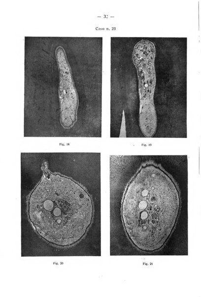 La stomatologia periodico mensile