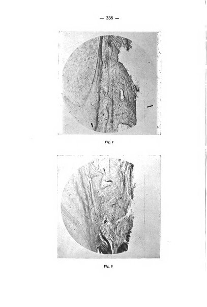 La stomatologia periodico mensile