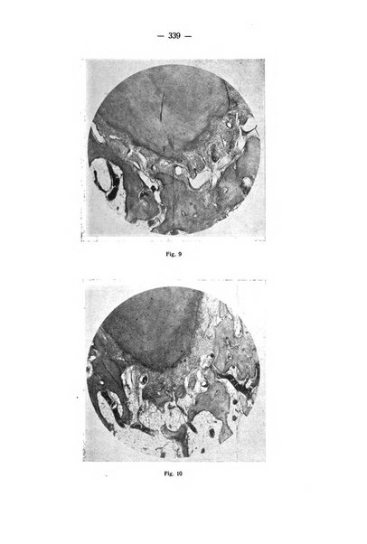 La stomatologia periodico mensile