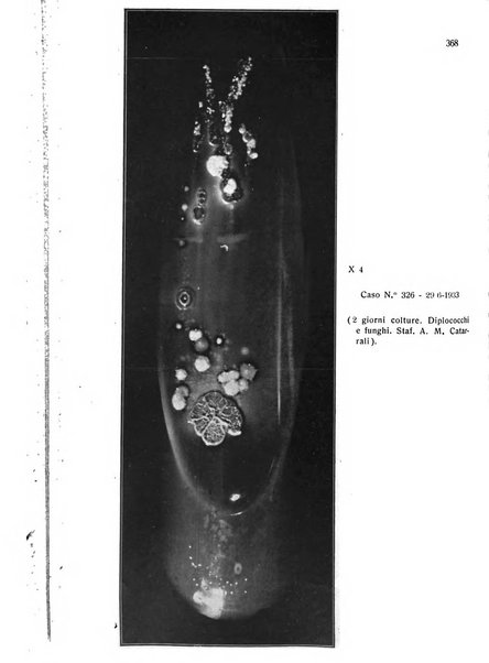 La stomatologia periodico mensile