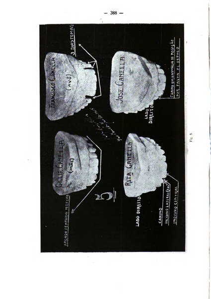 La stomatologia periodico mensile