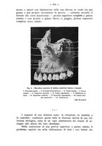 giornale/TO00195913/1935/unico/00000600