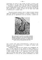 giornale/TO00195913/1935/unico/00000668