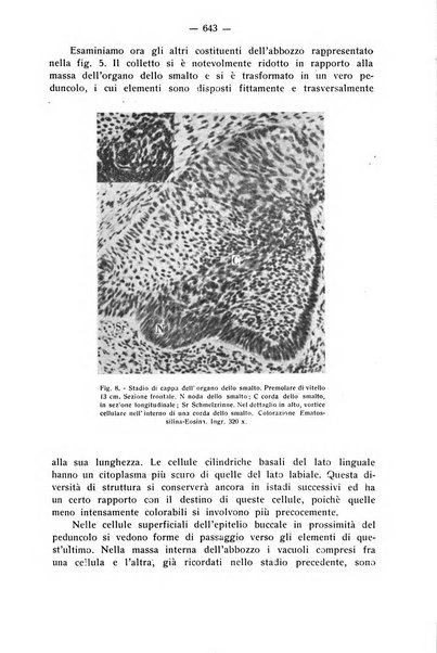 La stomatologia periodico mensile