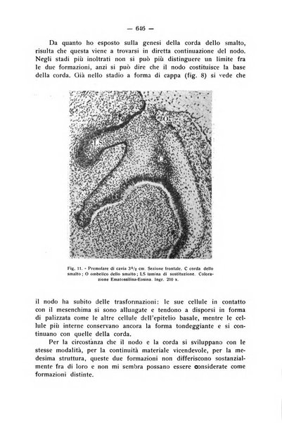 La stomatologia periodico mensile