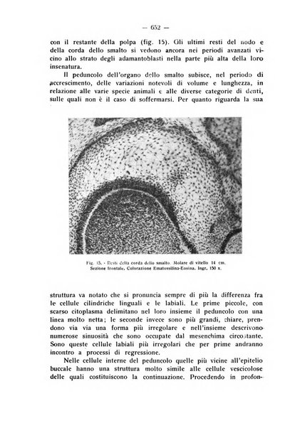 La stomatologia periodico mensile