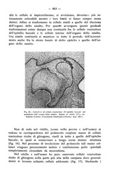 La stomatologia periodico mensile