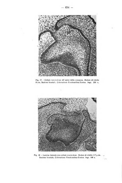 La stomatologia periodico mensile