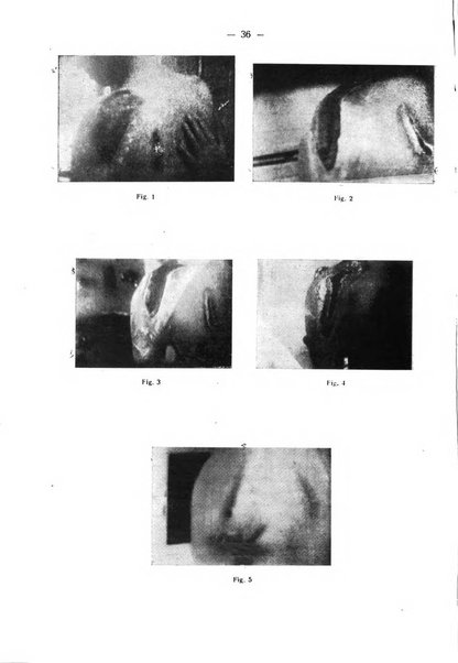 La stomatologia periodico mensile