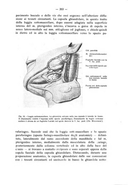 La stomatologia periodico mensile