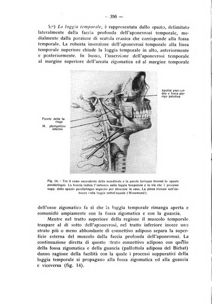 La stomatologia periodico mensile