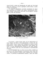 giornale/TO00195913/1936/unico/00000648