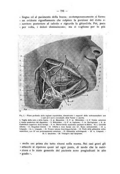 La stomatologia periodico mensile