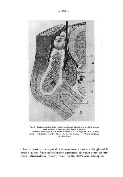 La stomatologia periodico mensile