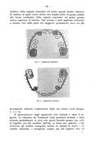 giornale/TO00195913/1937/unico/00000039