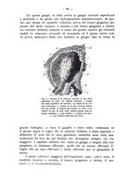 giornale/TO00195913/1938/unico/00000064