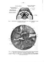 giornale/TO00195913/1938/unico/00000114