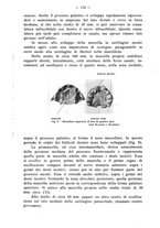 giornale/TO00195913/1938/unico/00000122