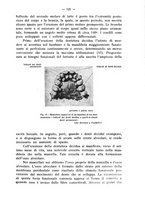 giornale/TO00195913/1938/unico/00000131