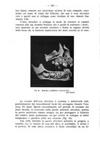 giornale/TO00195913/1938/unico/00000132